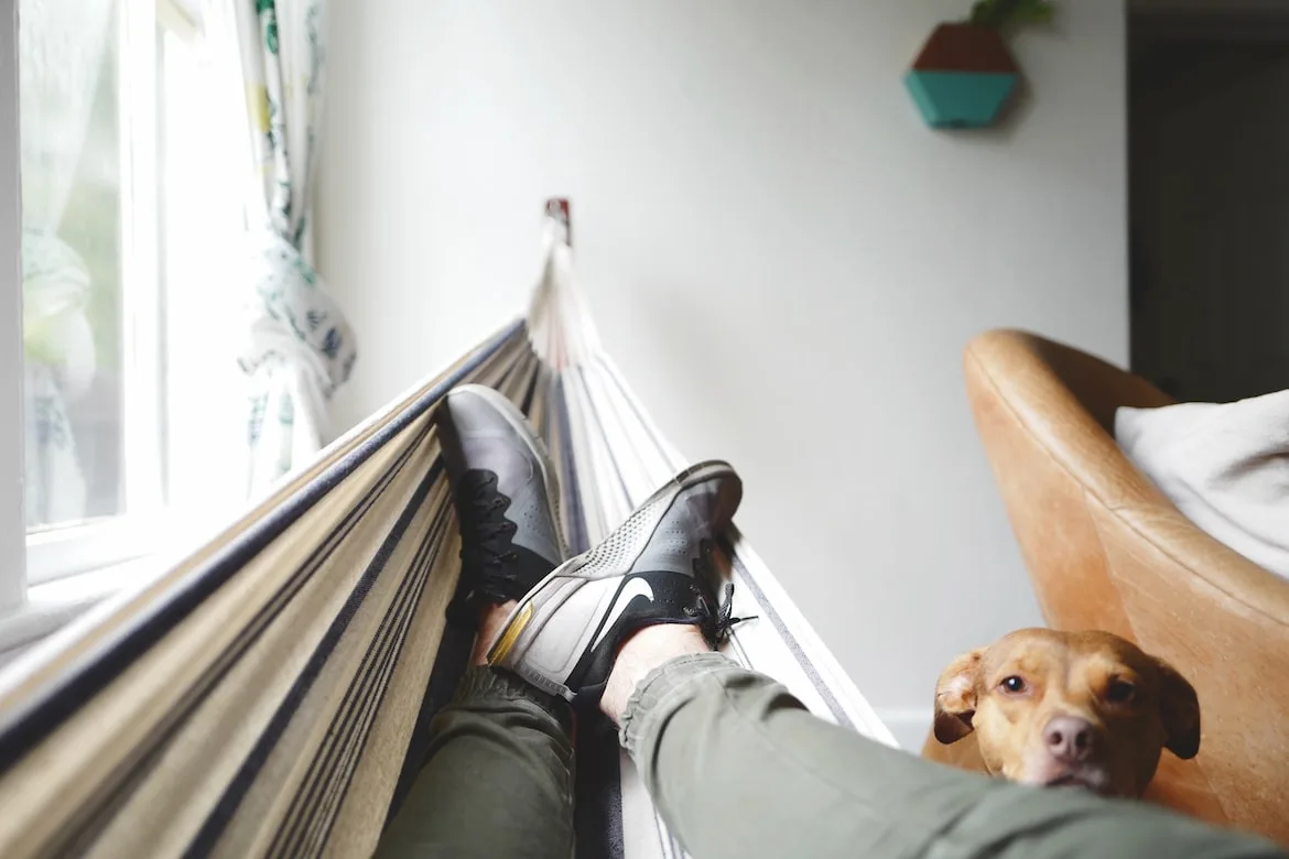 Homem deitado na rede e cão o observando