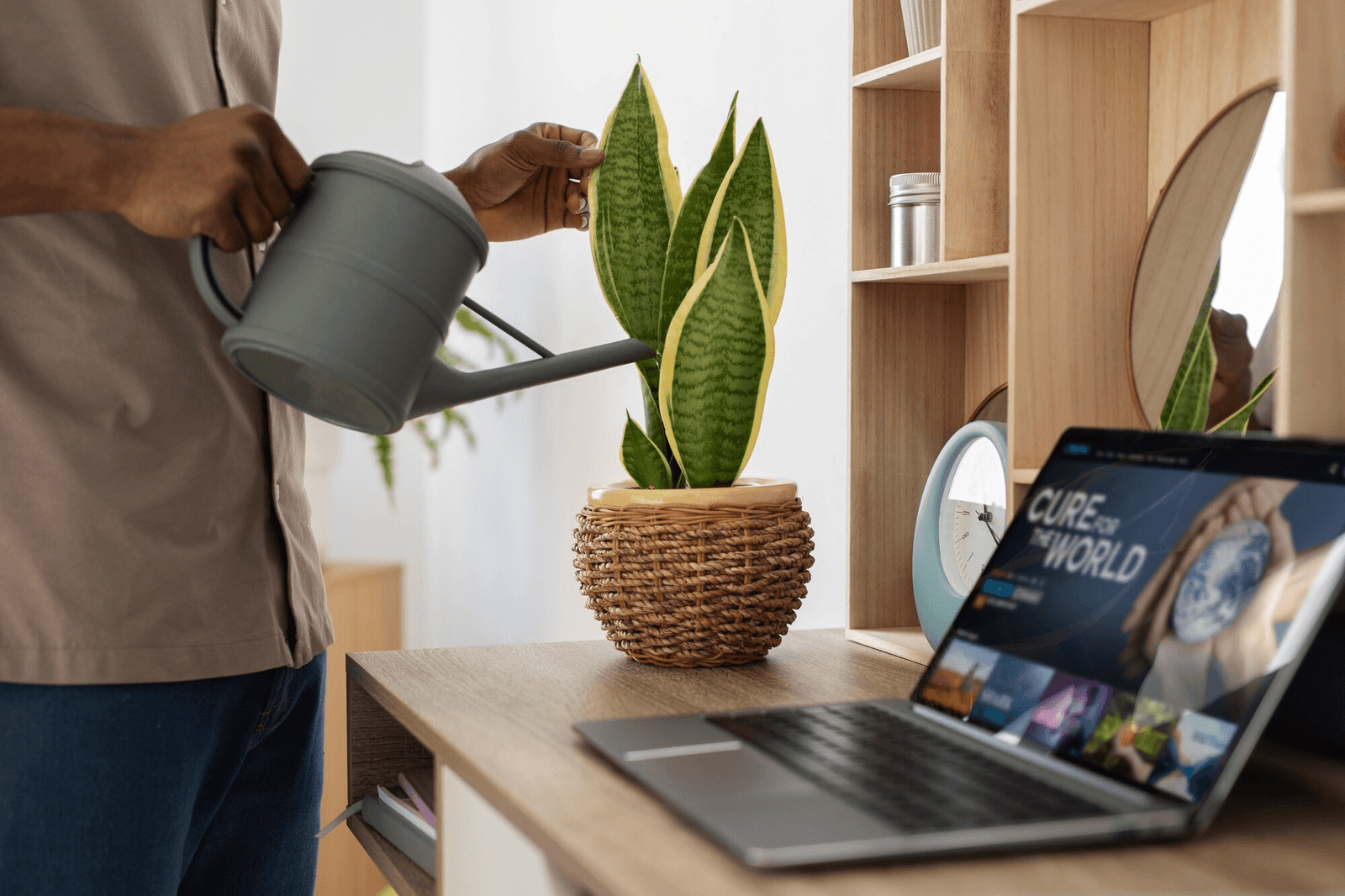 Design biofílico no escritório: futuro ou só modismo?