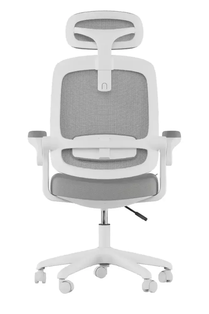 Cadeira Ergonômica Elements Astra - Costas