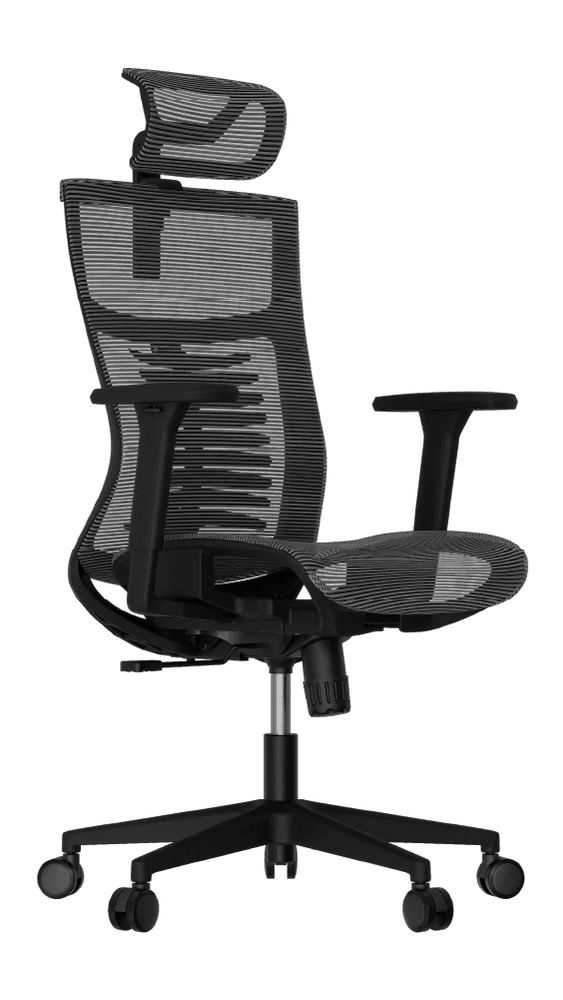 Cadeira Ergonômica Elements Vertta Pro - Frente lateral