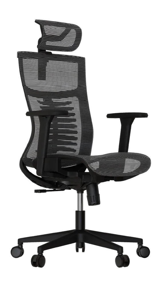 Cadeira Ergonômica Elements Vertta Pro - Frente lateral