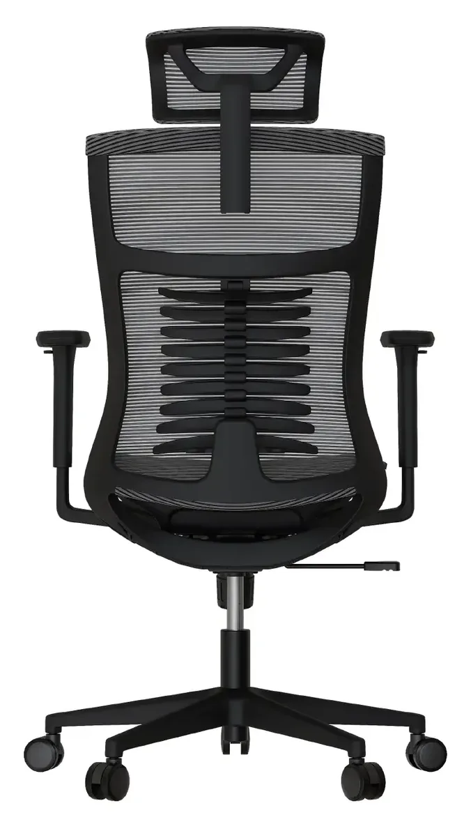 Cadeira Ergonômica Elements Vertta Pro - Costas