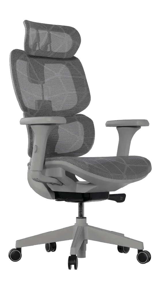 Cadeira Ergonômica Elements Siggy - Frente lateral