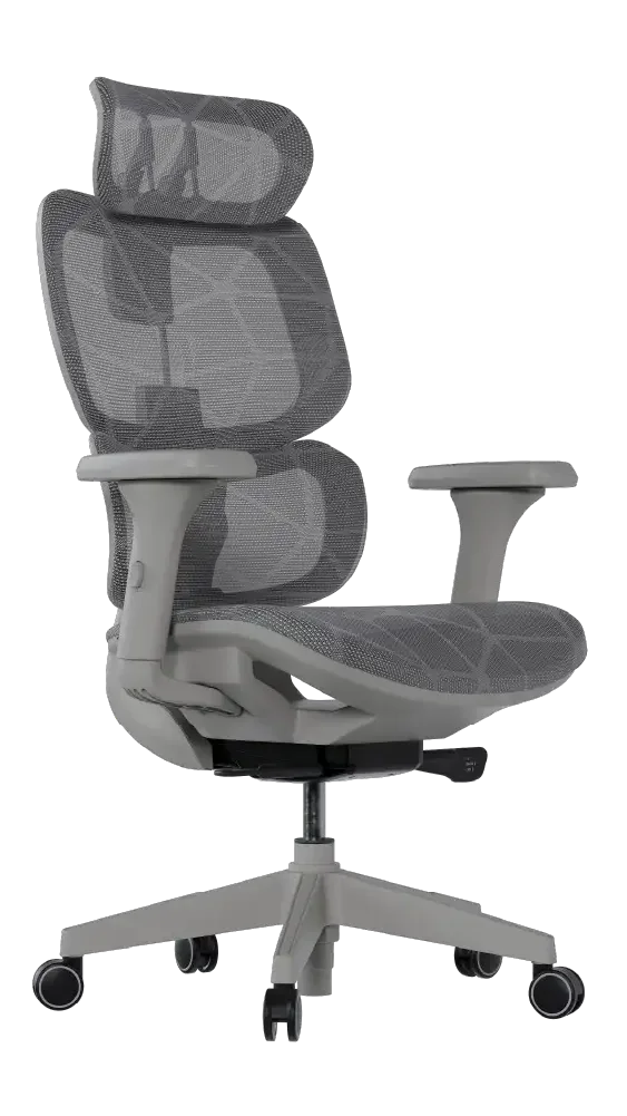 Cadeira Ergonômica Elements Siggy - Frente lateral