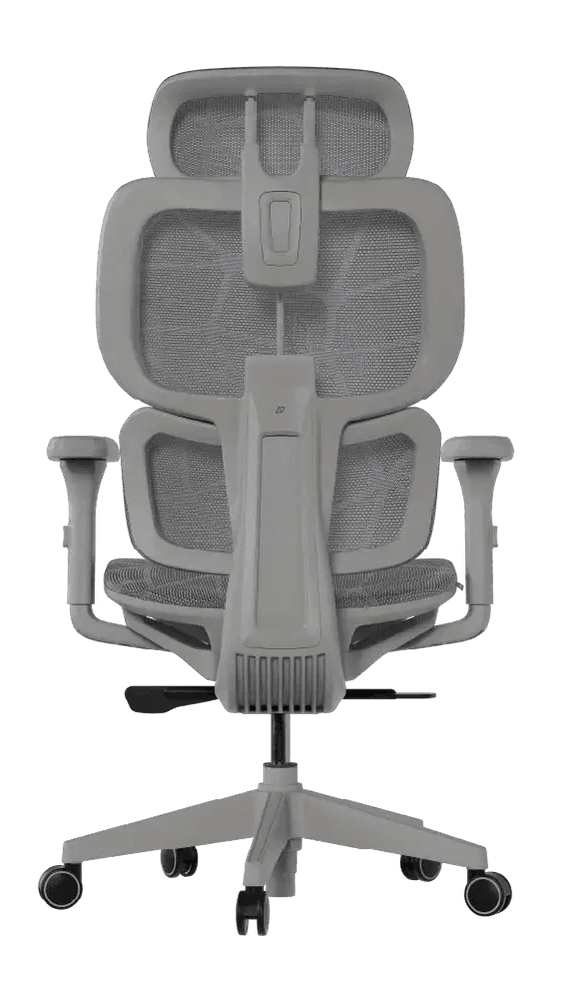 Cadeira Ergonômica Elements Siggy - Costas