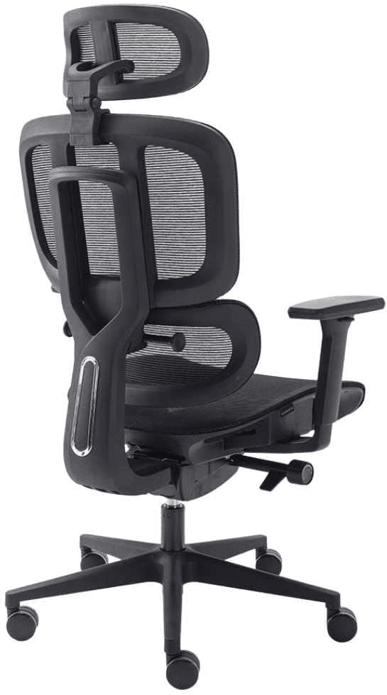 Cadeira Ergonômica Elements Sophy - Costas