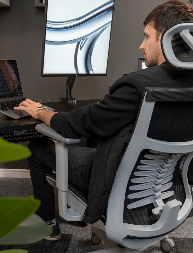 Elements Vertta Pro cinza, foco em suporte lombar espinha.