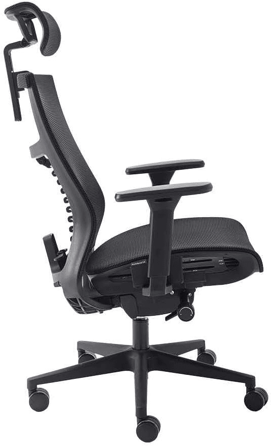 Cadeira Ergonômica Elements Vertta Special preta
