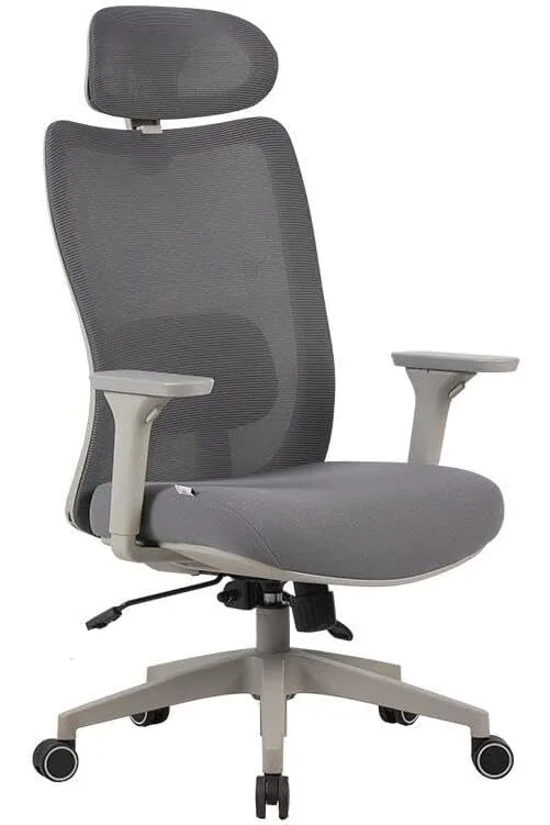 Cadeira ergonômica Elements Astra Pro - Frente