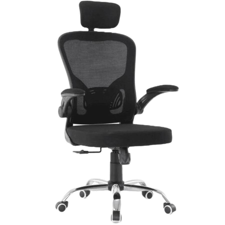 Cadeira ergonômica básica Phyton Fly