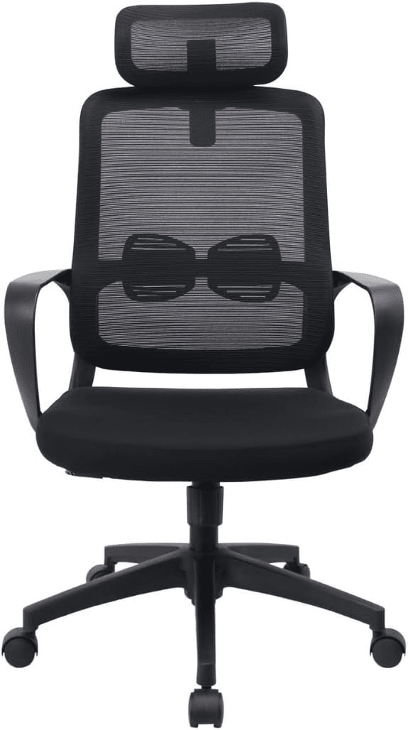 Cadeira ergonômica Eloria Presidente